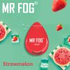 Mr Fog New Drop Strawmelon