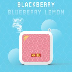 MR FOG MINI Blackberry Blueberry Lemon