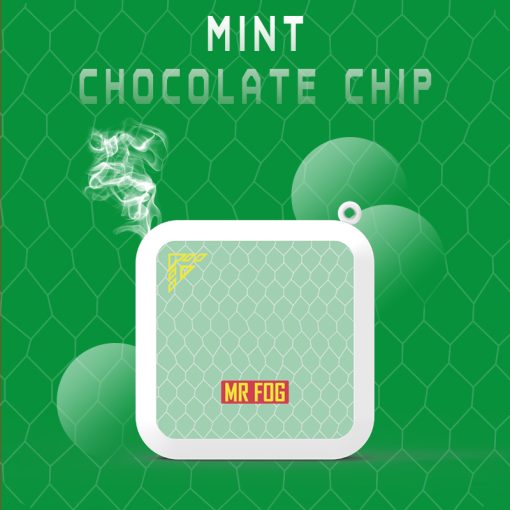 MR FOG MINI Mint Chocolate Chip